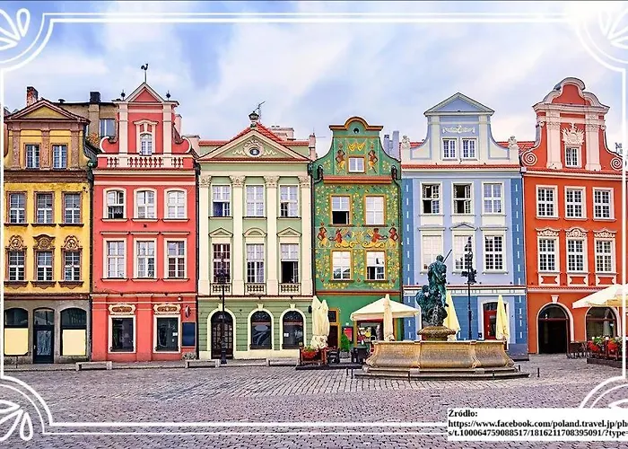 Flowers Point * Poznan