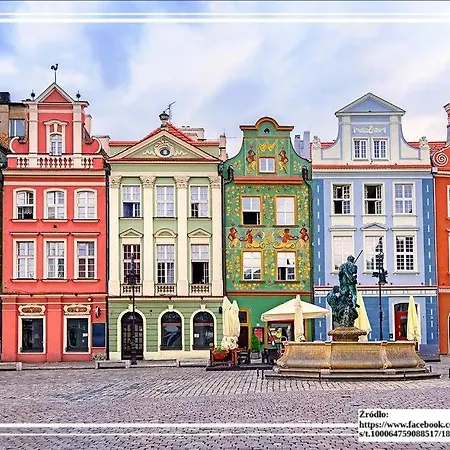 Flowers Point * 波兹南